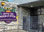 Visit Mike Bennett’s Free Crypto-Zoo: Museum Mystery