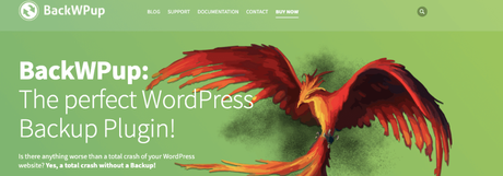 7 Premium WordPress Backup Plugins 2021 BackWpup