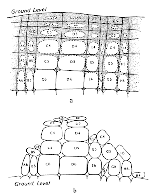 Mysterious Stones of the Laramie Mountains