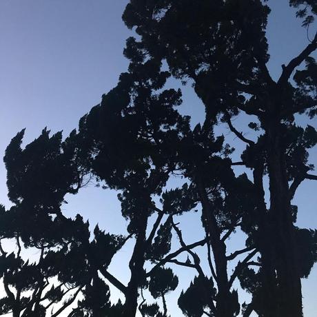 #nft #nftart #nftcommunity #nftartist #nftkorea #nftkorean #art #artwork #nft... 2 1632193240 939 nft nftart nftcommunity nftartist nftkorea nftkorean art artwork nft