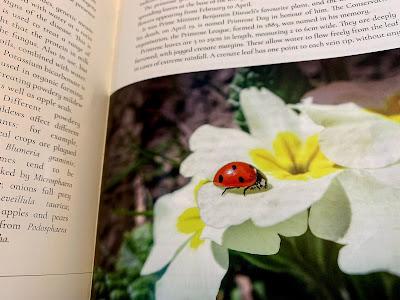 Book Review - The Secret Life of an Arable Field by Sophie McCall