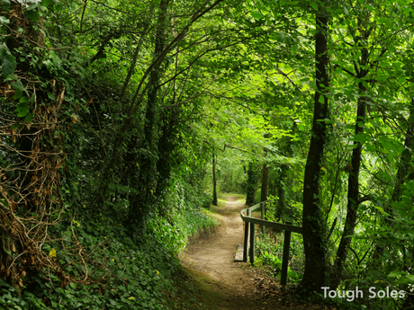The Nore Valley Way The Nore Valley Way