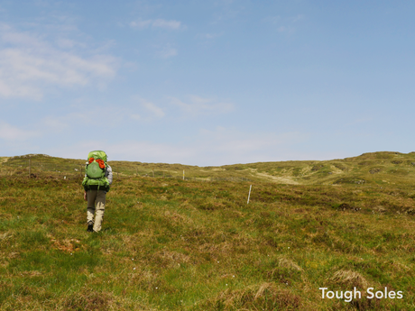 The Bluestacks Way The Bluestacks Way