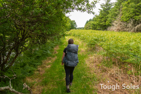 The Bluestacks Way The Bluestacks Way