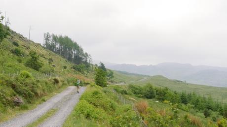 The Bluestacks Way The Bluestacks Way