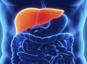 Ayurvedic Herbs Liver Disorders