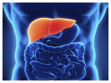 AYURVEDIC HERBS FOR LIVER DISORDERS