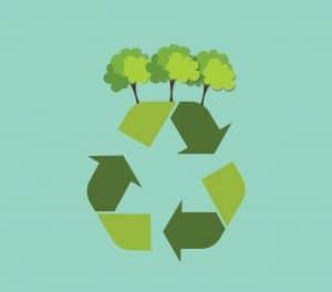 Top Ways Solar Positively Impacts the Environment