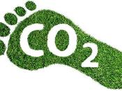 What Savings from Solar Panels?