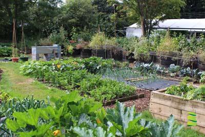 How to Start a Permaculture Garden? (Ultimate Guide)