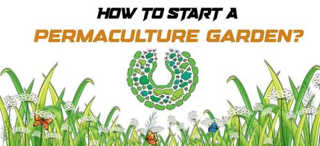 How to Start a Permaculture Garden? (Ultimate Guide)