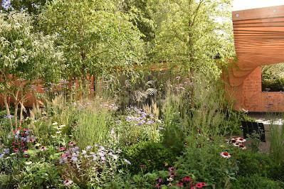 RHS Chelsea Flower Show 2021 - the September Edition