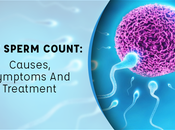 Sperm Count Treatment With Home Remedies