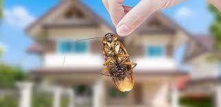 Pest Control and its different Treatment Methods