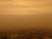 Match Sharjah Sandstorm, David More