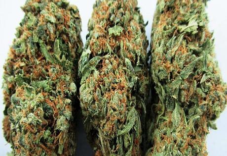 How to Mail Order Marijuana?
