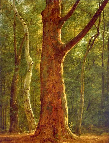 Inspirational art: Beech Tree – Achille-Etna Michallon