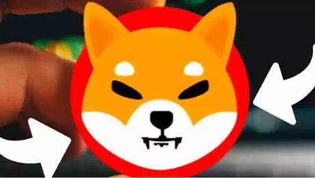 Shiba Inu coin Shiba Inu coin