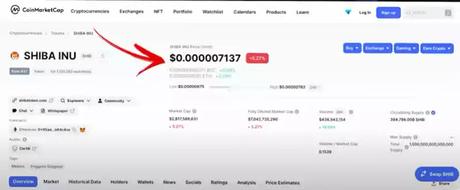 Shiba Inu's price today Shiba Inu's price today