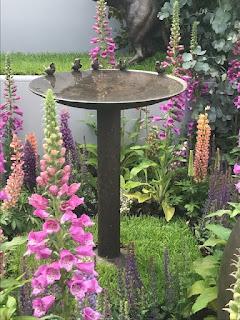 RHS Chelsea Flower Show 2021 part 2 - even more favourite bits