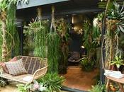 Chelsea Flower Show 2021 Part Even More Favourite Bits