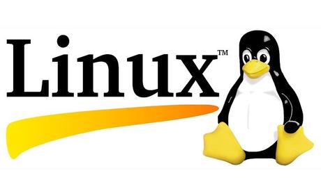 List of 10 Best Linux Hosting Services 2021: Reviewed & Rated
