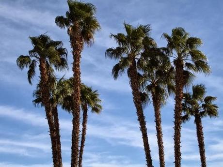 Palm Springs: Paradise for Lovers of the Great Outdoors