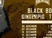 Cortonville Presents: Black Bottle Riot, Gingerpig Tenement Kids