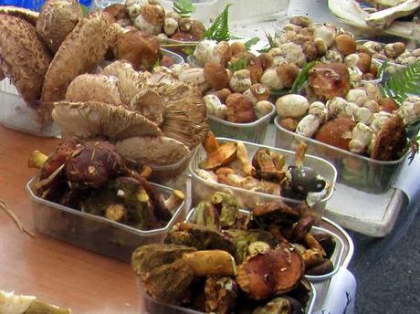 Mushrooms in a French market