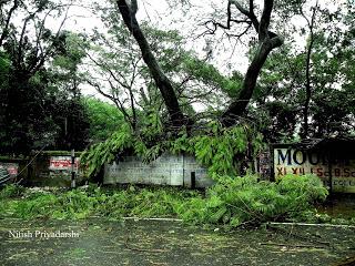 Impact of Phailin cyclone in Ranchi city of India.