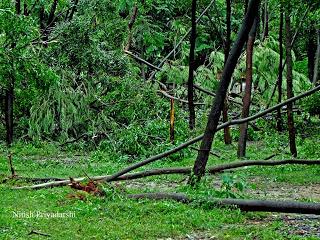 Impact of Phailin cyclone in Ranchi city of India.