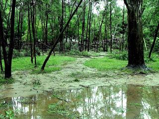 Impact of Phailin cyclone in Ranchi city of India.