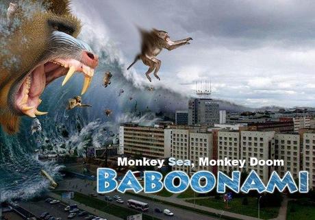 baboonami