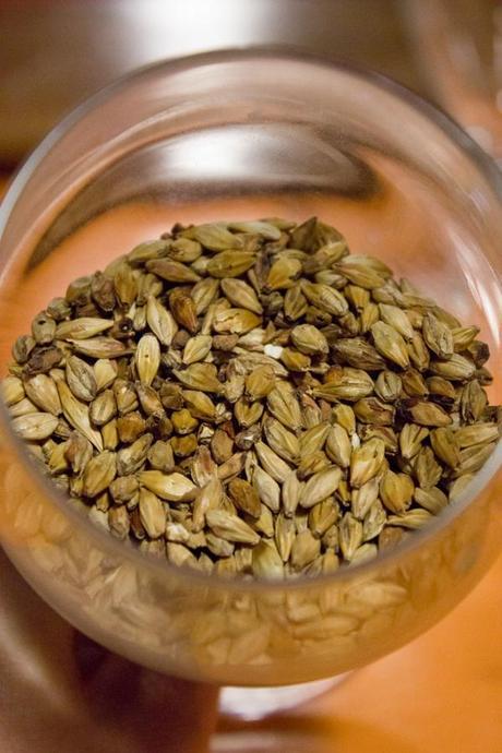 malt the main ingredient for homebrewing
