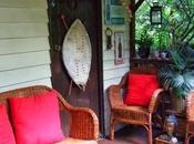 Take Jungle Hut!