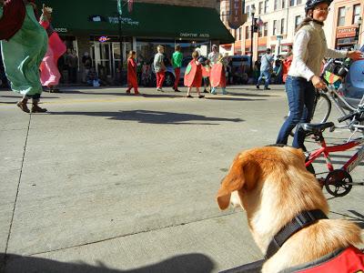 Harvest Fest Parade