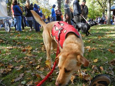 Harvest Fest Parade