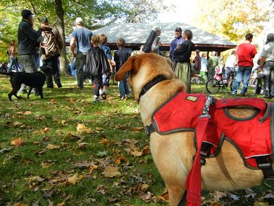 Harvest Fest Parade