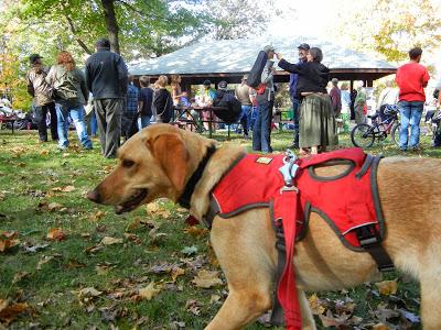 Harvest Fest Parade