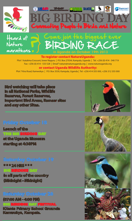 How to take part in Big Birding Day 2013, Uganda