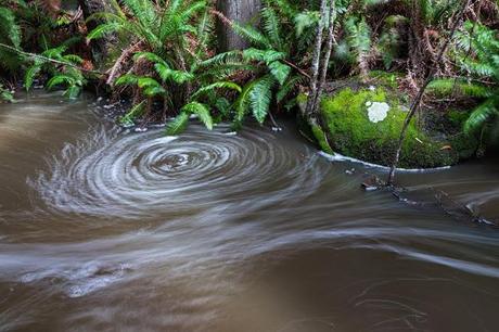 circling water in sheoak creek