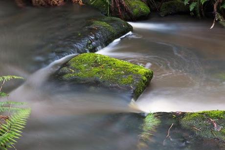 water over rocks sheoak creek