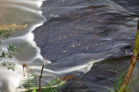 water over rocks in sheoak creek