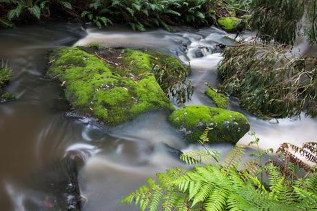 long exposure of water in sheoak creek