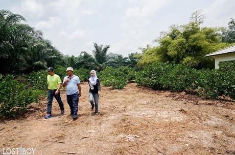 Malaysia Tourism Hunt 2013: Homestay Banghuris in Sepang