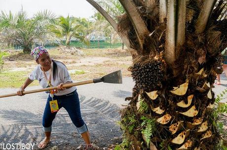 Malaysia Tourism Hunt 2013: Homestay Banghuris in Sepang