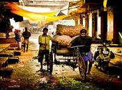 Understanding Chennai