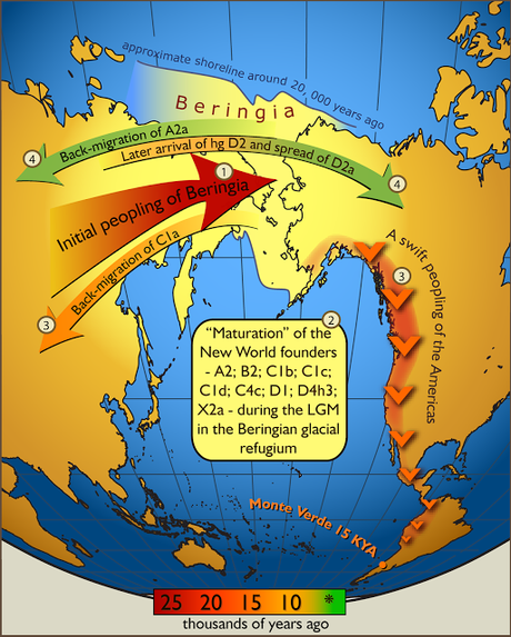 Native Americans have Asian origins?