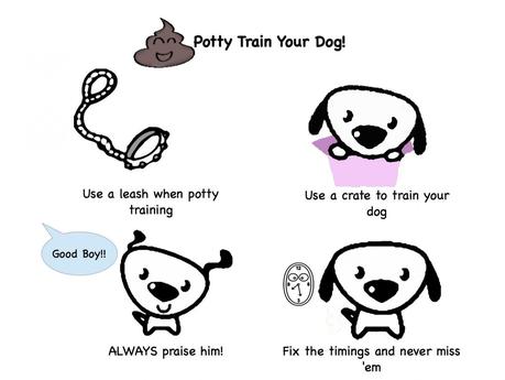 dog potty training