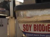 Sugar-Based Compound Turns Waste Into Affordable Biodiesel